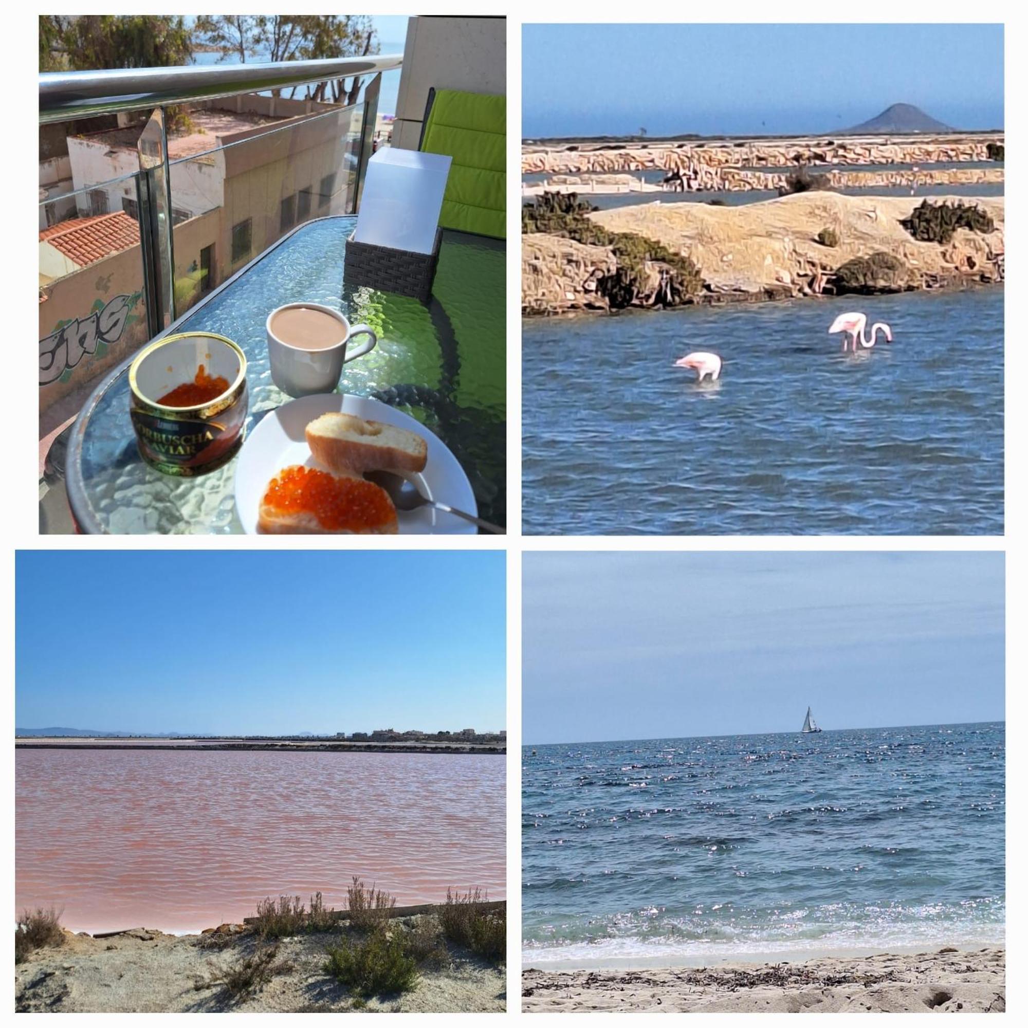 Nice Apartment With Terrace On The Los Locos Beach Torrevieja Exterior foto